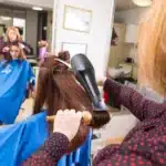 Gestión de peluquerías en Donostia: citas, bonos y fidelización con Hiopos