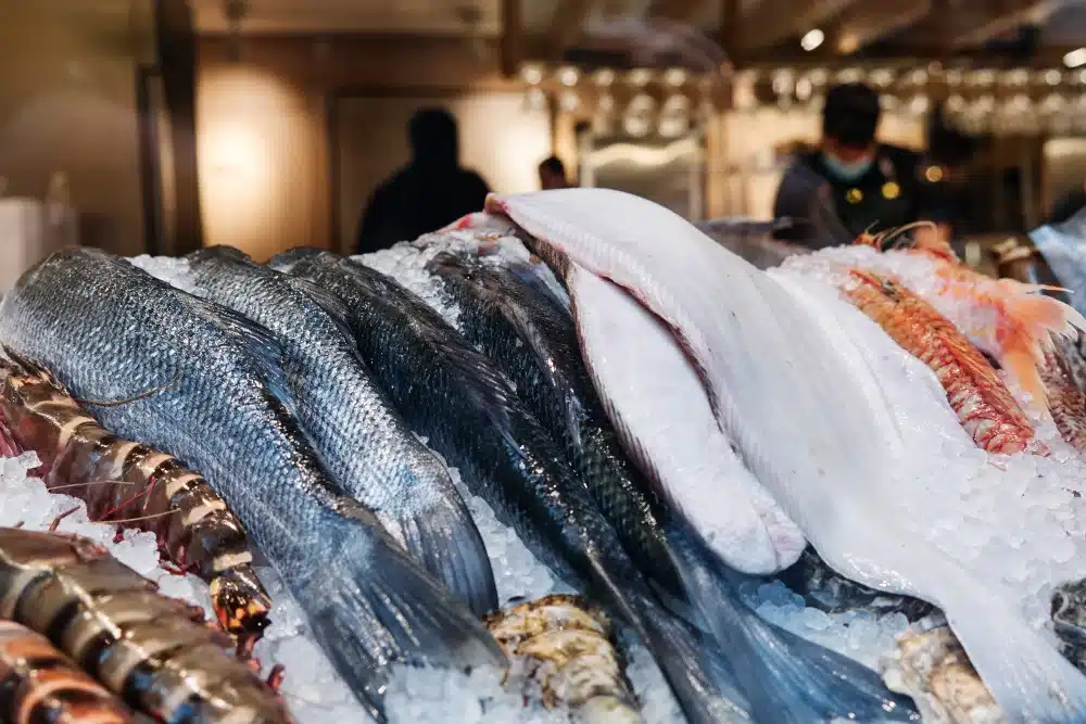 tpv pescaderia bilbao - TPV para pescaderías en Bilbao: control de stock y rotación